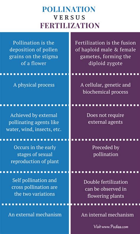 Difference Between Pollination and Fertilization | Definition, Characteristics, Process, Types