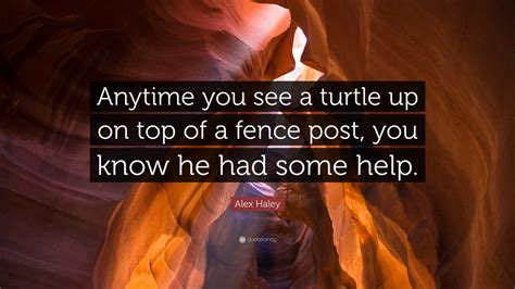 Alex Haley Quote: “Anytime you see a turtle up on top of a fence post ...