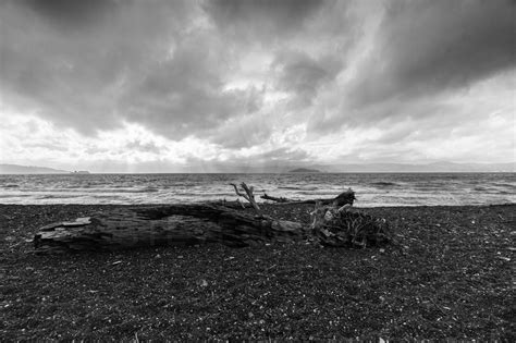 View across Wellington Harbour - Steve Jansen Photography