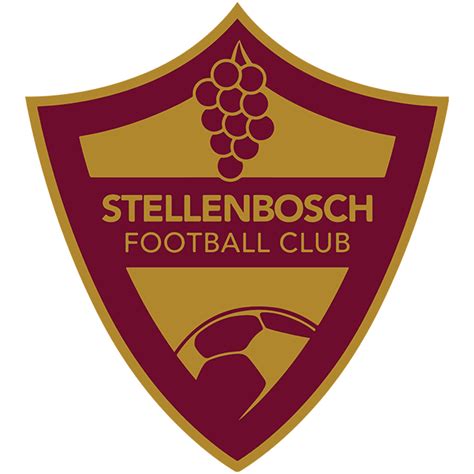 Stellenbosch FC: All the info, news and results