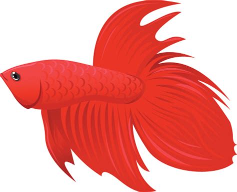 Betta Fish Clip Art - ClipArt Best