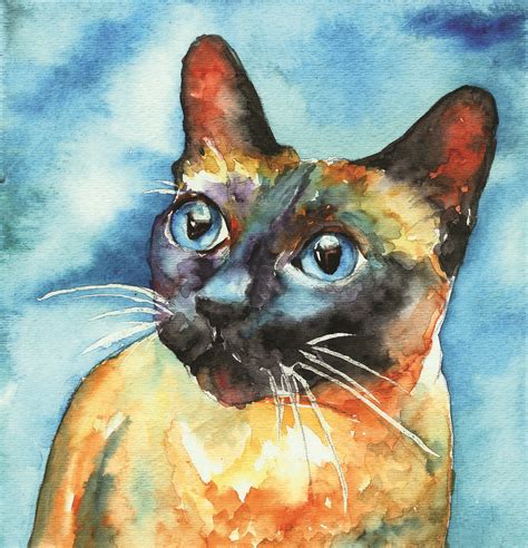 Siamese Cat by Christy Freeman