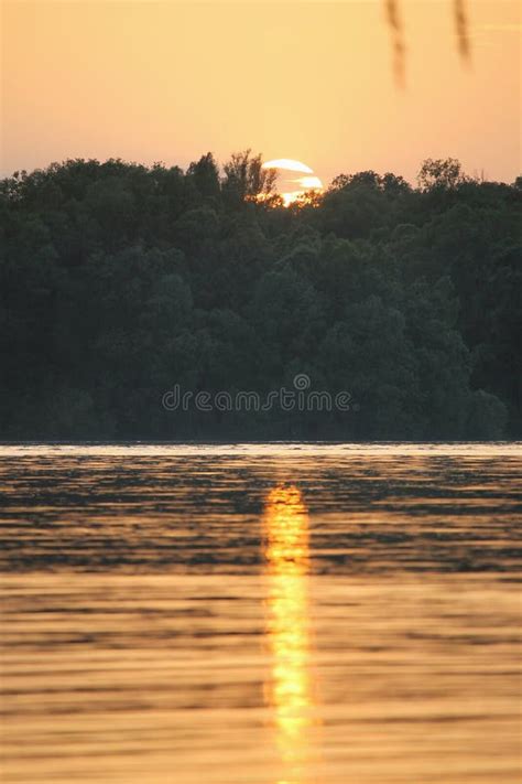 Calm river stock image. Image of river, gold, enjoyment - 115531625