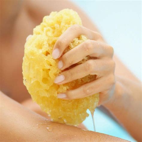 Natural Soft Ocean Sea Sponge Bath Body Shower Washing Spa Loofah 3"-4. ...