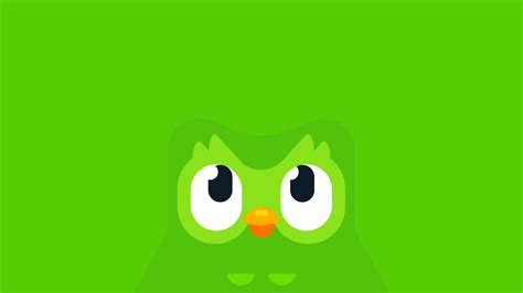 Duolingo – Lara Juriansz