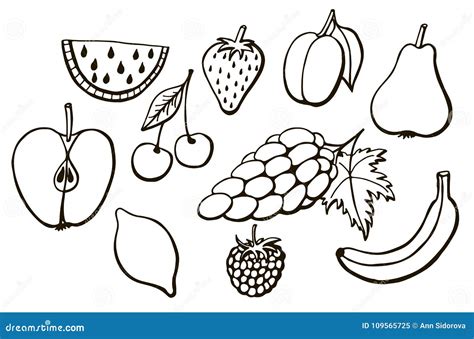 Set of Black and White Painted Vector Fruits Stock Illustration ...