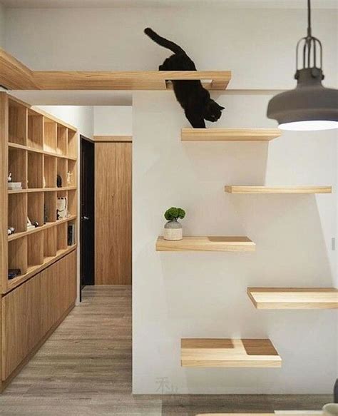 35+ Adorable Cat House Pets Design Ideas - BrowsyouRoom | Cat wall shelves, Cat room, Furniture