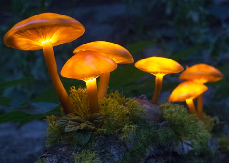 Make Gorgeous Polymer Mushroom Lights for a Magical Garden Effect - Garden and Happy