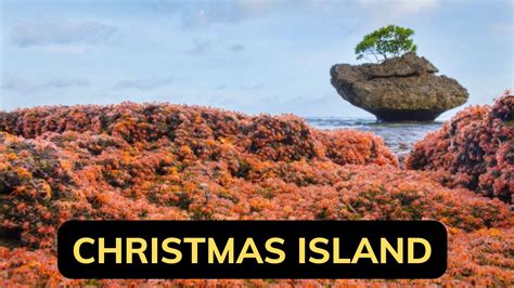 Christmas Island - An Amazing Ecotourism Destination