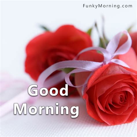 318+ Best Good Morning Rose Images | Gulab Rose Good Morning Pics