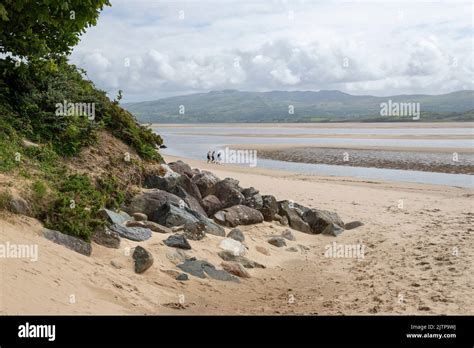 Walkers on the beach at Borth-y-Gest overlooking the Glaslyn estuary in North Wales Stock Photo ...