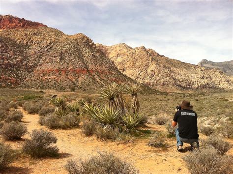 Takin' Photos | Red Rock Canyon National Conservation Area | Regina Rioux | Flickr