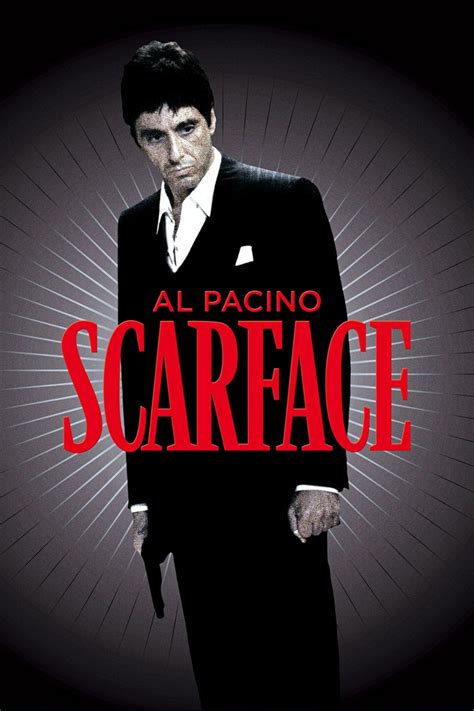 50 best Scareface images on Pinterest | Al pacino, Scarface movie and Cinema