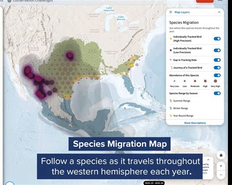 National Audubon Society's Bird Migration Explorer | Blue Raster