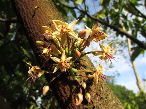 Gardening Jobs in March - Sacred Earth