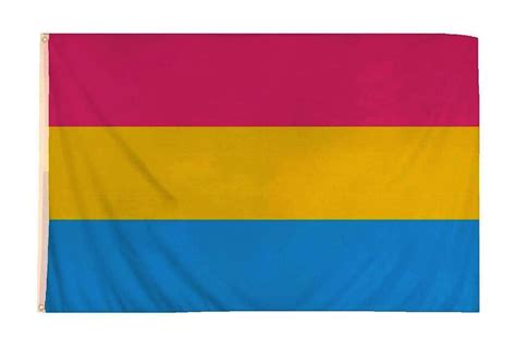 Large Pansexual Pride Flag