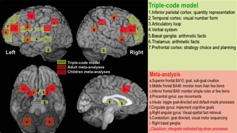 Neurofeedback in dyscalculia learning disability | Effective NFB protocols