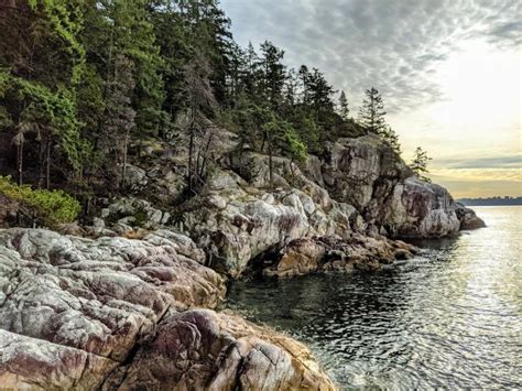 Lighthouse Park Photo | 2021 Hiking Photo Contest | Vancouver Trails