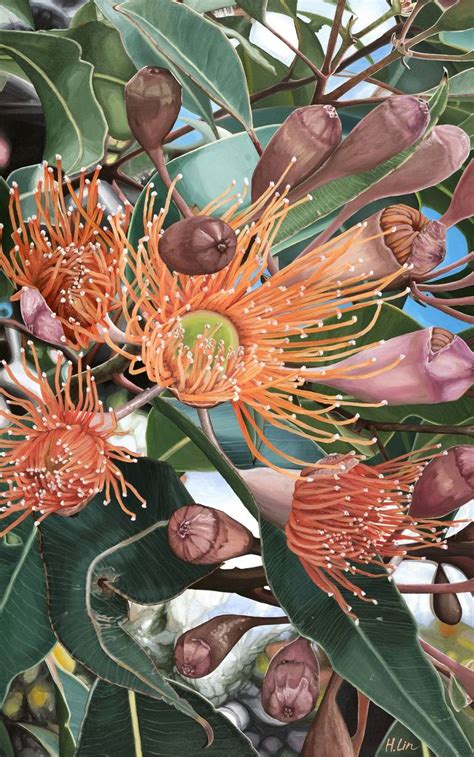 A Lifetime Sunshine -Flowering Gum - Corymbia Ficifolia Painting by HSIN LIN | Saatchi Art