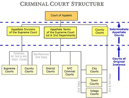 State Judicial System | Constitutional Law and Rights