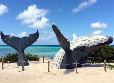 15 Best Things to Do in Turks and Caicos - The Crazy Tourist | Grand ...