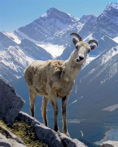 Things to Do in Kananaskis | Frugal Flyer