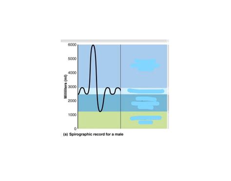 Spirometry: Lung Volumes Quiz