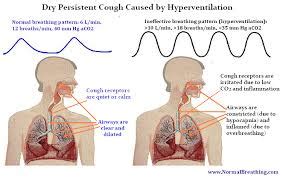 Explain the Causes of a Dry Cough - Assignment Point