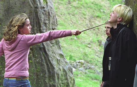 Hermione Granger's wand - Harry Potter Wiki