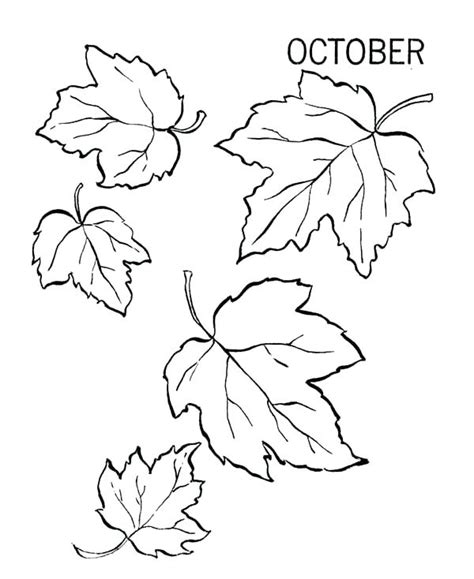 Thanksgiving Leaves Coloring Pages at GetColorings.com | Free printable ...