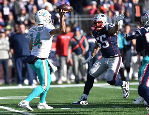 Best photos from Patriots vs. Dolphins in Week 17 | Patriots Wire