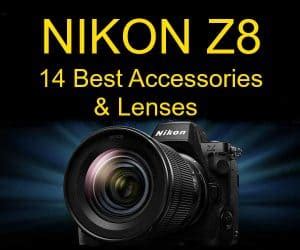 Nikon Z8 Camera | 14 Best Accessories & Lenses - Cool Wildlife