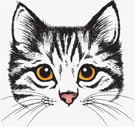 Gatos Vector, Cat Face Drawing, Frida Art, Cat Clipart, Clipart Images, Cat Stock, Thread ...