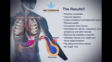 Benefits of Agave Nectar / Syrup - YouTube