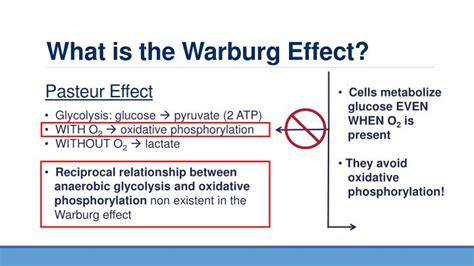 PPT - Warburg Effect & Oncology PowerPoint Presentation - ID:1874861