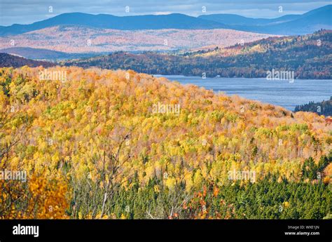 Mooselookmeguntic Lake at autumn, Maine, USA Stock Photo - Alamy