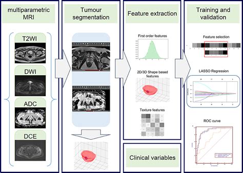 Frontiers | Radiomics Based on Multiparametric Magnetic Resonance Imaging to Predict ...