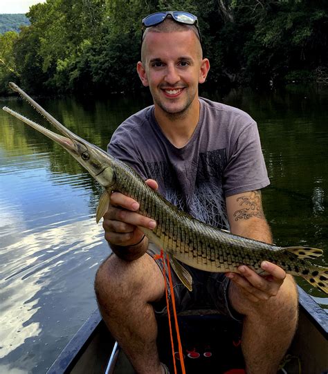 A rare catch: Local angler hauls second longnose gar from Shenandoah River | News, Sports, Jobs ...