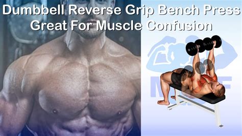 Dumbbell Reverse Grip Bench Press: Great For Muscle Confusion