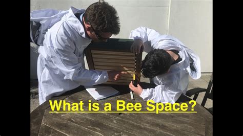 What is a Bee Space? - YouTube