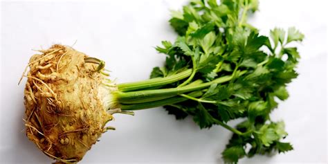 Celeriac Recipes: Soup, Coleslaw, Purée - Great British Chefs