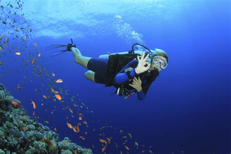 Perbedaan Scuba Diving, Free Diving Dan Snorkling