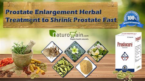 Herbal Treatment for BPH to Shrink Enlarged Prostate Fast