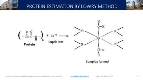 Lowry method for protein estimation