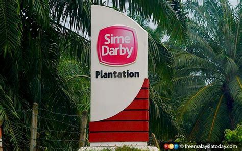 Sime Darby Plantation phases out manual workers in non-harvesting jobs | FMT