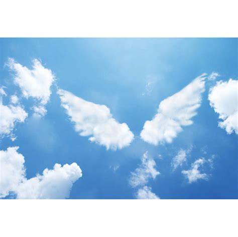 Buy DORCEV 6x4ft Angel Wings Photography Backdrop for Birthday Party Gender Reveal Party Baby ...