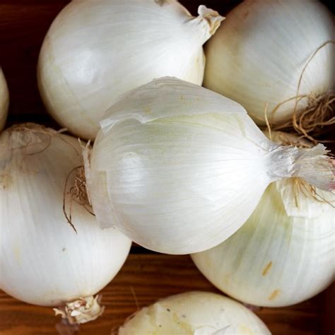 White onions - Organic Produce Direct