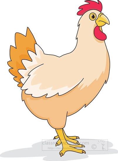 Chicken Clipart-chicken farm animal clipart