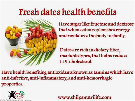 Fresh dates health benefits - Shilpsnutrilife