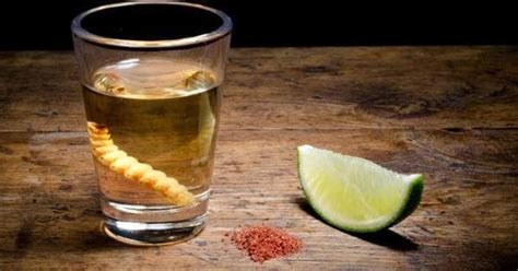 Mezcal Brands | List of Mezcal Brand Names